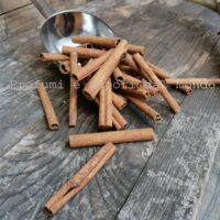 cassia stecche