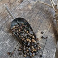 semi di guarana