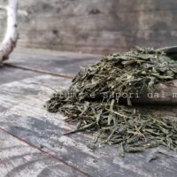 te verde sencha