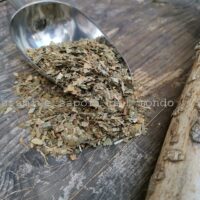 gingko biloba